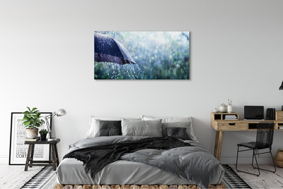 Tableaux sur toile canvas Gouttes de pluie parapluie