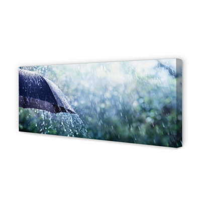 Tableaux sur toile canvas Gouttes de pluie parapluie