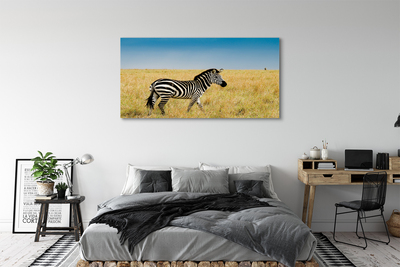 Tableaux sur toile canvas Boîte zebra