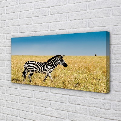 Tableaux sur toile canvas Boîte zebra