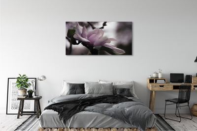 Tableaux sur toile canvas Magnolia