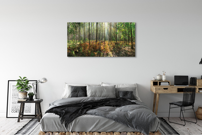 Tableaux sur toile canvas Arbre bouleau forêt