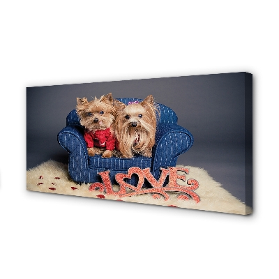 Tableaux sur toile canvas Yorkie