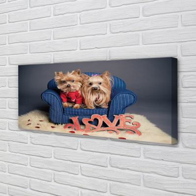 Tableaux sur toile canvas Yorkie