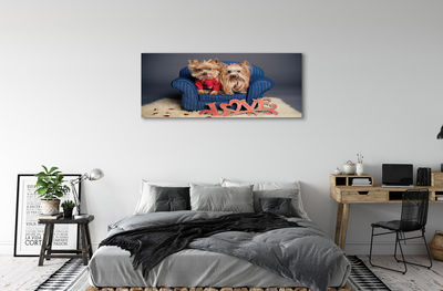 Tableaux sur toile canvas Yorkie