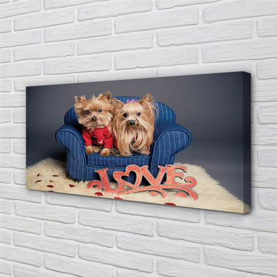 Tableaux sur toile canvas Yorkie