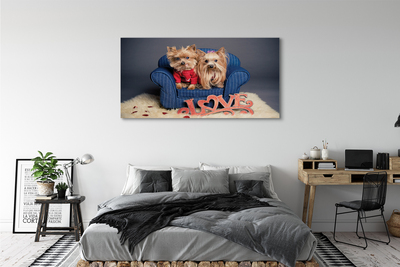 Tableaux sur toile canvas Yorkie