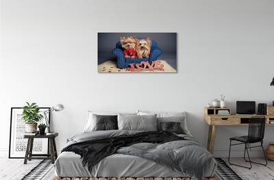 Tableaux sur toile canvas Yorkie