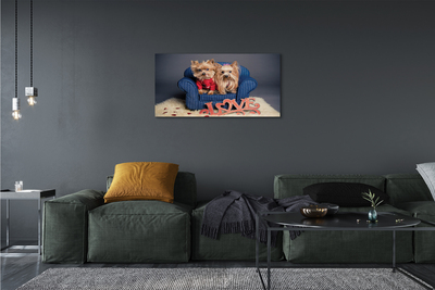 Tableaux sur toile canvas Yorkie