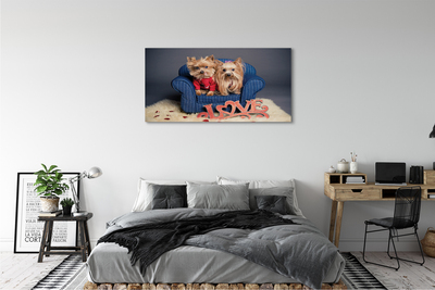 Tableaux sur toile canvas Yorkie