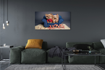 Tableaux sur toile canvas Yorkie