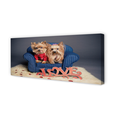 Tableaux sur toile canvas Yorkie