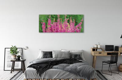 Tableaux sur toile canvas Bruyères fleurs