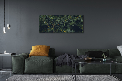 Tableaux sur toile canvas Brindilles d'arbre de noël