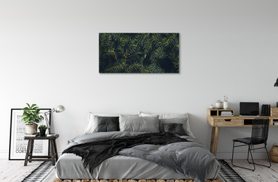 Tableaux sur toile canvas Brindilles d'arbre de noël