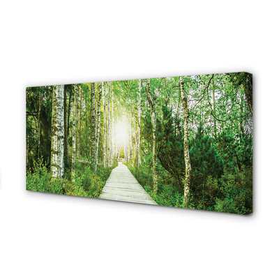 Tableaux sur toile canvas Route forestière arbre birch