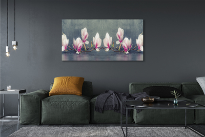Tableaux sur toile canvas Branche magnolias