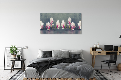 Tableaux sur toile canvas Branche magnolias