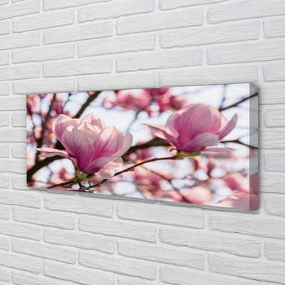Tableaux sur toile canvas Arbre magnolias