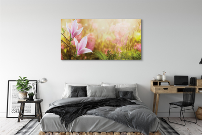 Tableaux sur toile canvas Arbre soleil magnolia