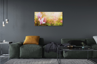 Tableaux sur toile canvas Arbre soleil magnolia