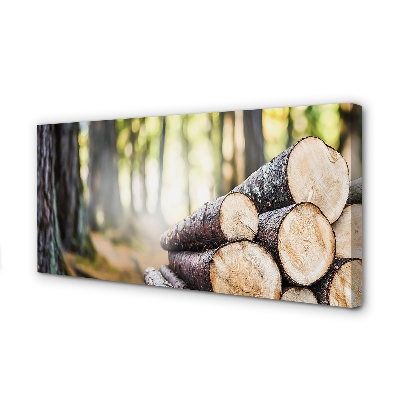 Tableaux sur toile canvas Forêt nature bois