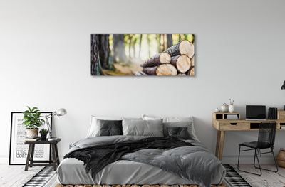 Tableaux sur toile canvas Forêt nature bois