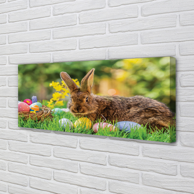 Tableaux sur toile canvas Œufs de lapin prairie
