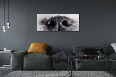 Tableaux sur toile canvas Nez de chien
