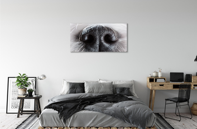 Tableaux sur toile canvas Nez de chien