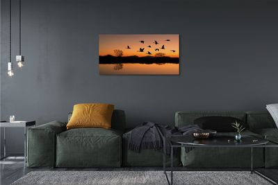 Tableaux sur toile canvas Coucher de soleil oiseaux volants