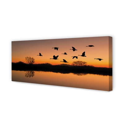 Tableaux sur toile canvas Coucher de soleil oiseaux volants