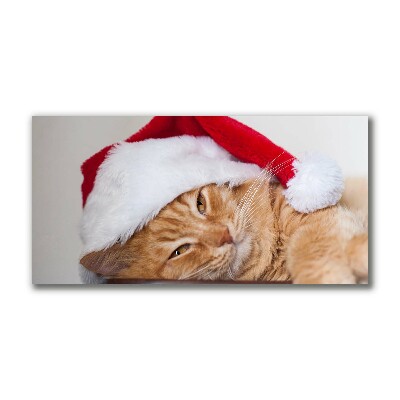 Photo sur toile Chat Chapeau de Père Noël de Noël