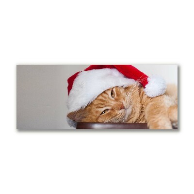 Photo sur toile Chat Chapeau de Père Noël de Noël