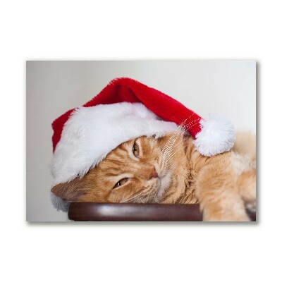 Photo sur toile Chat Chapeau de Père Noël de Noël