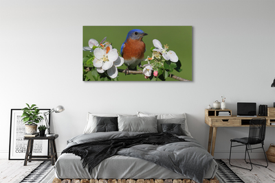 Tableaux sur toile canvas Fleurs perroquet coloré