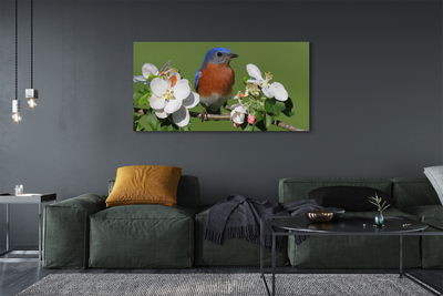 Tableaux sur toile canvas Fleurs perroquet coloré