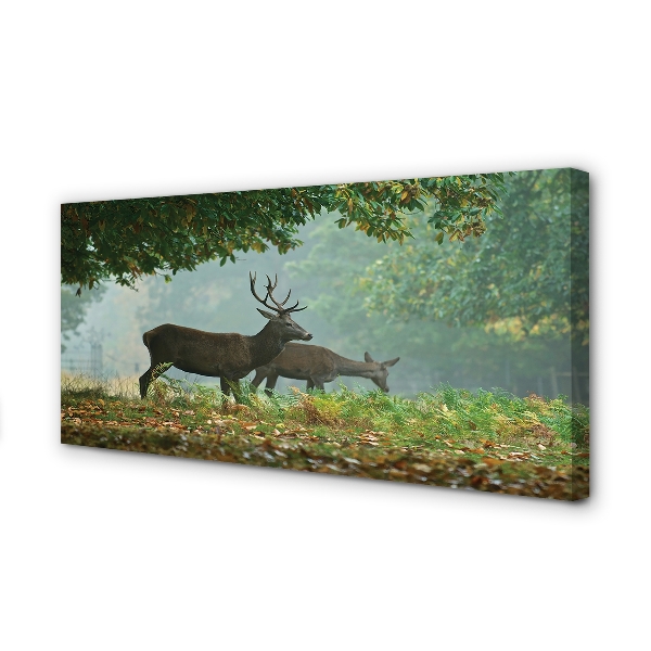 Tableaux sur toile canvas Cerf forêt d'automne