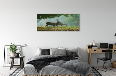 Tableaux sur toile canvas Cerf forêt d'automne