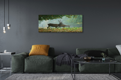 Tableaux sur toile canvas Cerf forêt d'automne