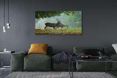 Tableaux sur toile canvas Cerf forêt d'automne