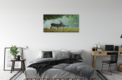 Tableaux sur toile canvas Cerf forêt d'automne