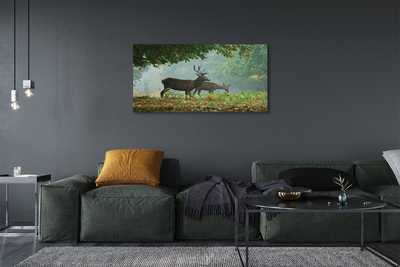 Tableaux sur toile canvas Cerf forêt d'automne