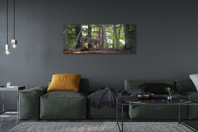 Tableaux sur toile canvas Forêt cerf