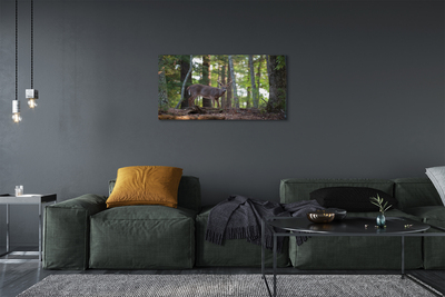 Tableaux sur toile canvas Forêt cerf
