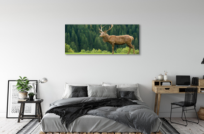 Tableaux sur toile canvas Cerfs communs dans le domaine