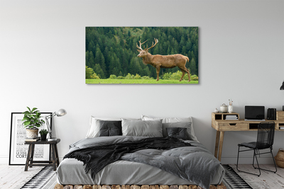 Tableaux sur toile canvas Cerfs communs dans le domaine