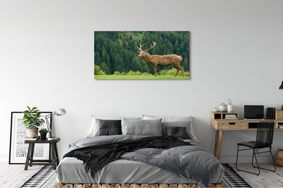 Tableaux sur toile canvas Cerfs communs dans le domaine