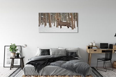 Tableaux sur toile canvas Cerf forêt d'hiver