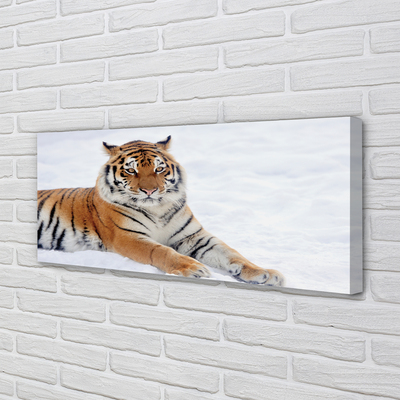 Tableaux sur toile canvas Hiver tiger